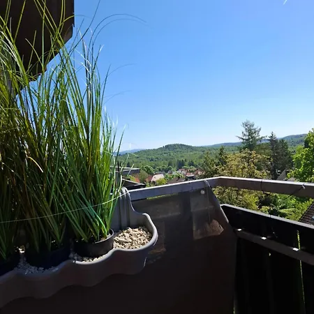 Gipfelglueck Mit Fernblick Und Strandkorb Apartment